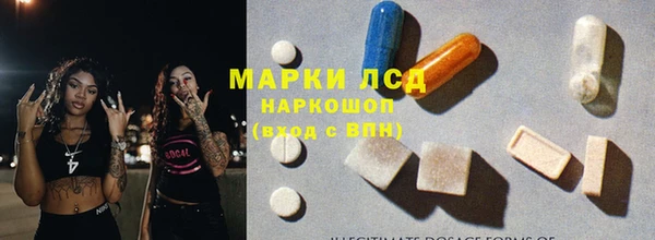 PSILOCYBIN Бородино