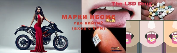 PSILOCYBIN Бородино