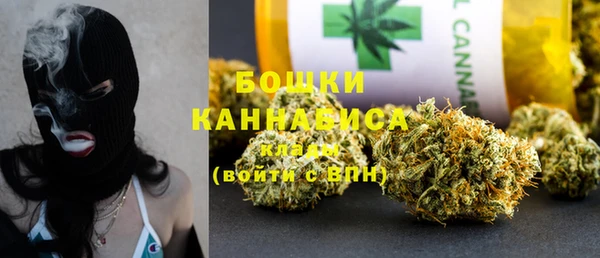 PSILOCYBIN Бородино