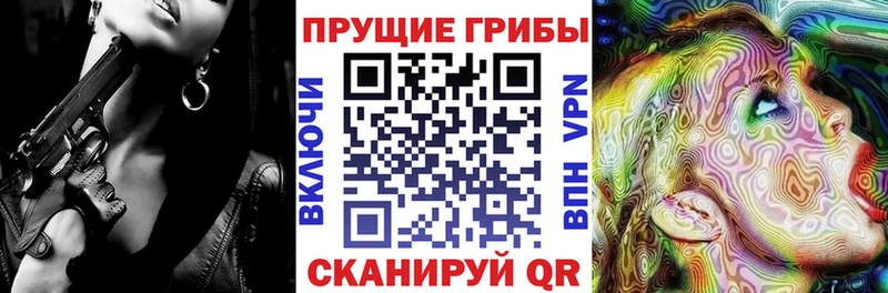 Псилоцибиновые грибы ЛСД  Новосокольники 